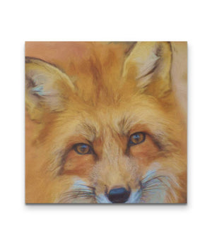 Fox Canvas